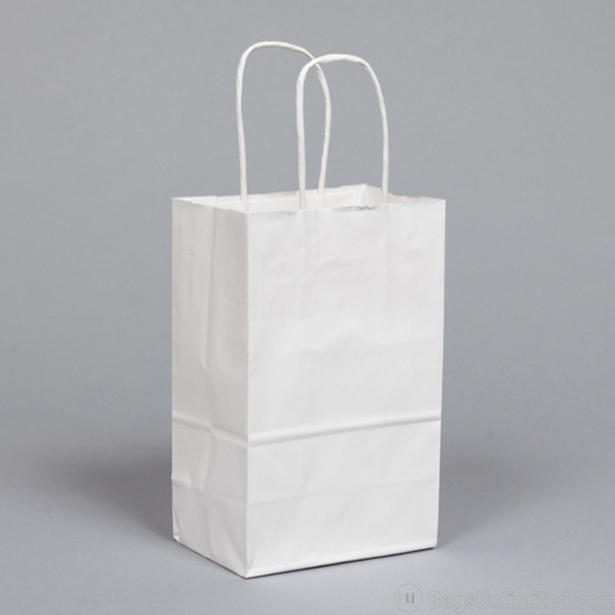 White Kraft Paper Shopping Bags wit